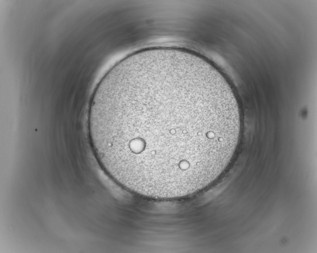 X0000089851421200707262058