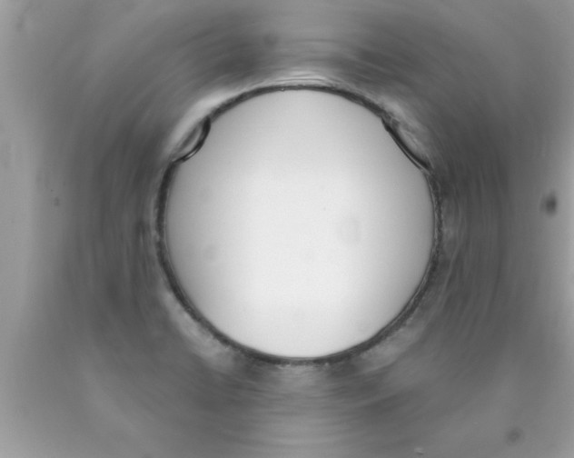 X0000089851422200707262058