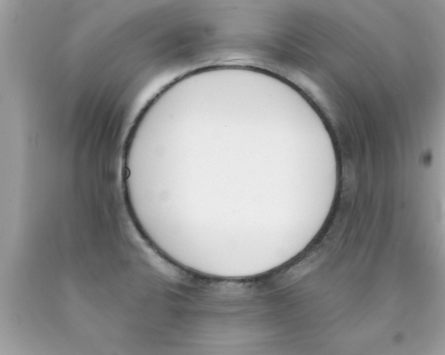 X0000089851424200707262058