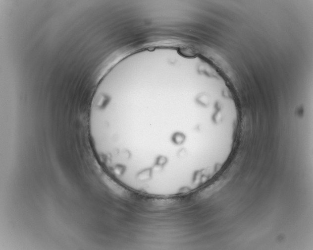 X0000089851425200707262058