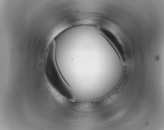 X0000089851426200707262058