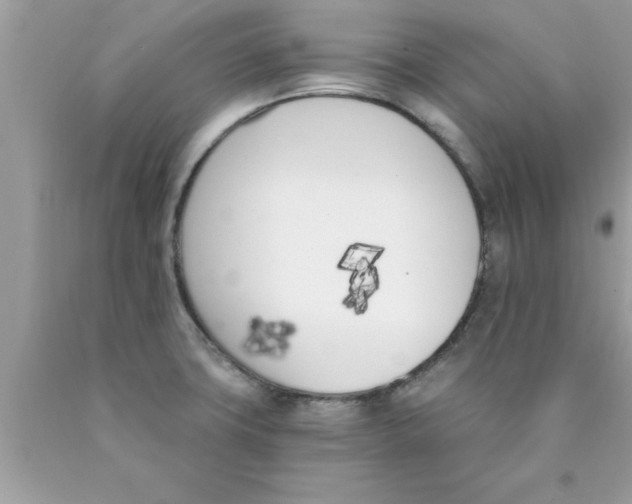 X0000089851427200707262058