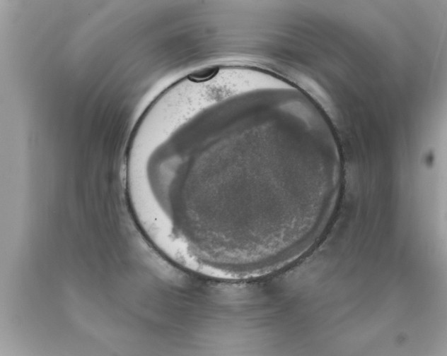 X0000089851428200707262058