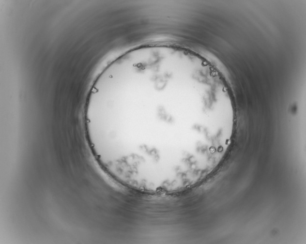 X0000089851429200707262058