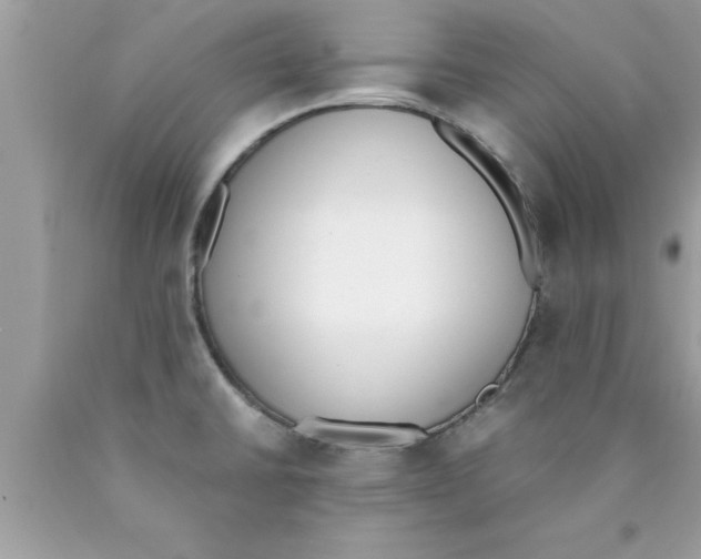 X0000089851430200707262058