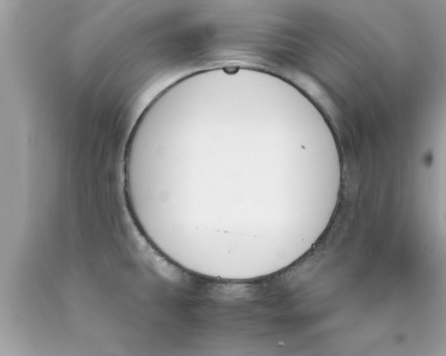 X0000089851431200707262058