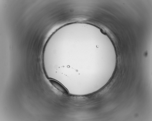 X0000089851432200707262058