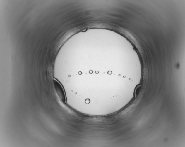 X0000089851433200707262058