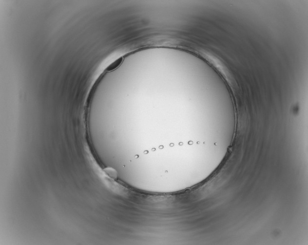 X0000089851434200707262058