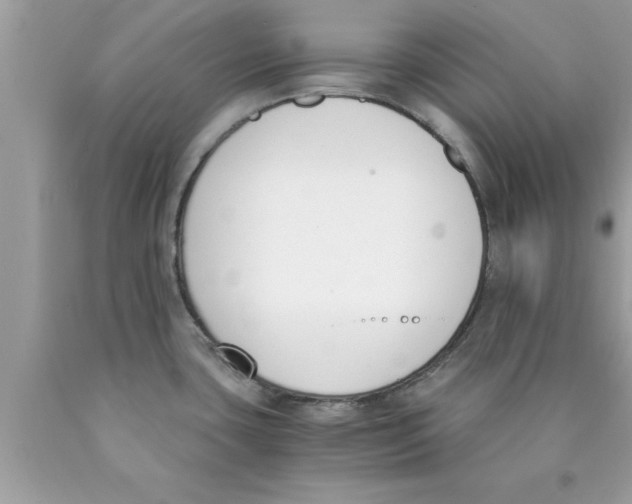 X0000089851435200707262058