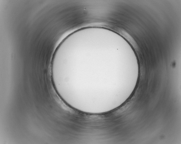 X0000089851436200707262058