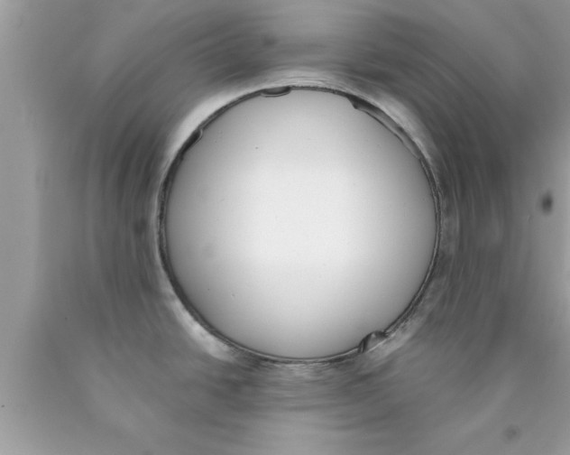 X0000089851438200707262058