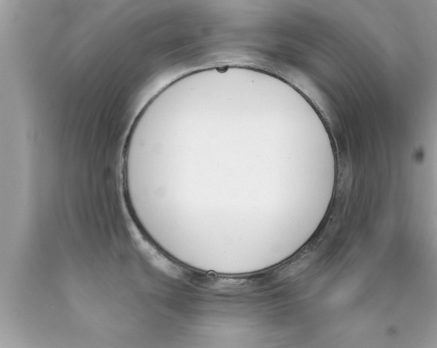 X0000089851439200707262059