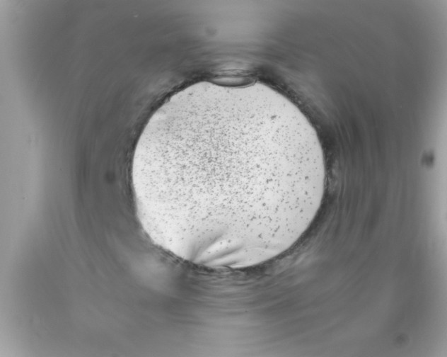 X0000089851441200707262058