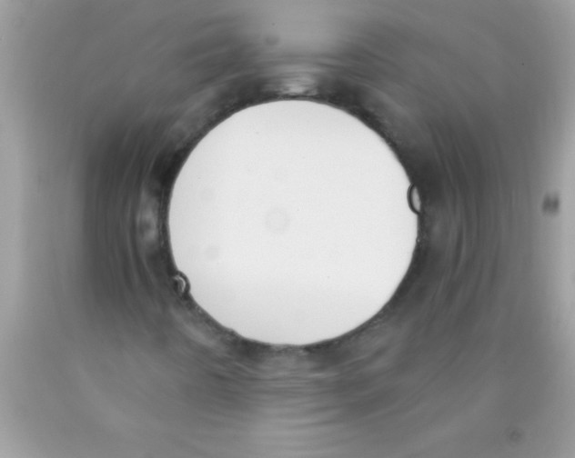 X0000089851442200707262058