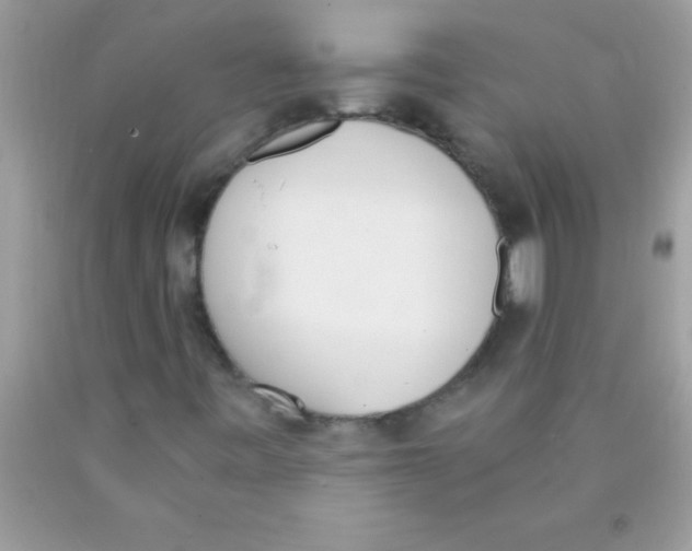 X0000089851443200707262058