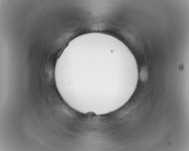 X0000089851444200707262058