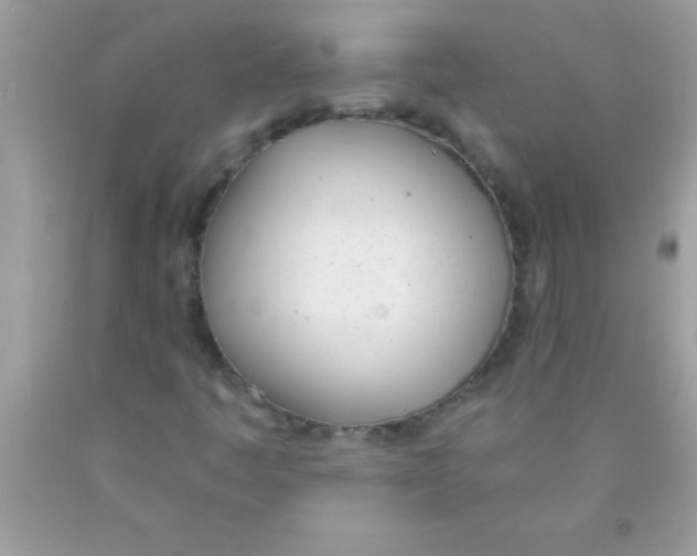 X0000089851445200707262058