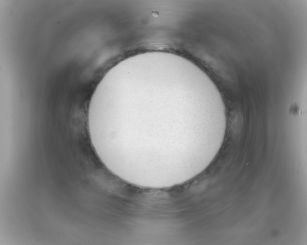 X0000089851446200707262058