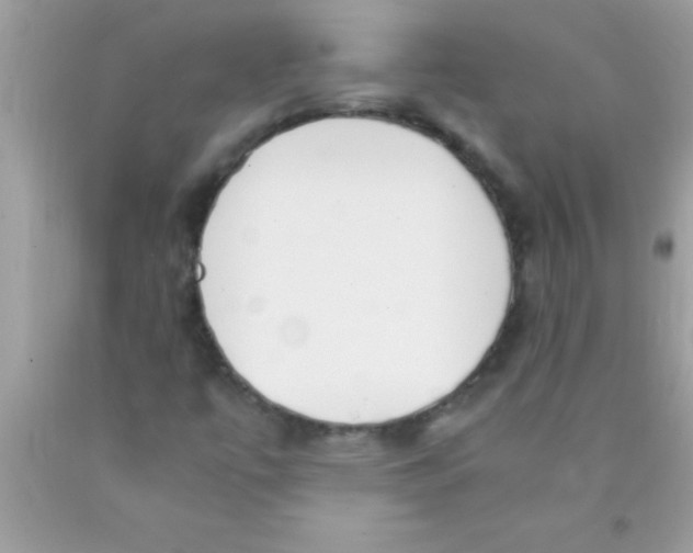 X0000089851447200707262058