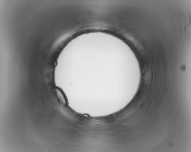 X0000089851448200707262058