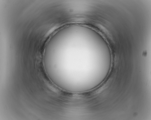 X0000089851449200707262058