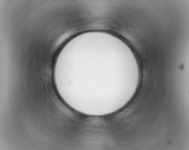 X0000089851450200707262058