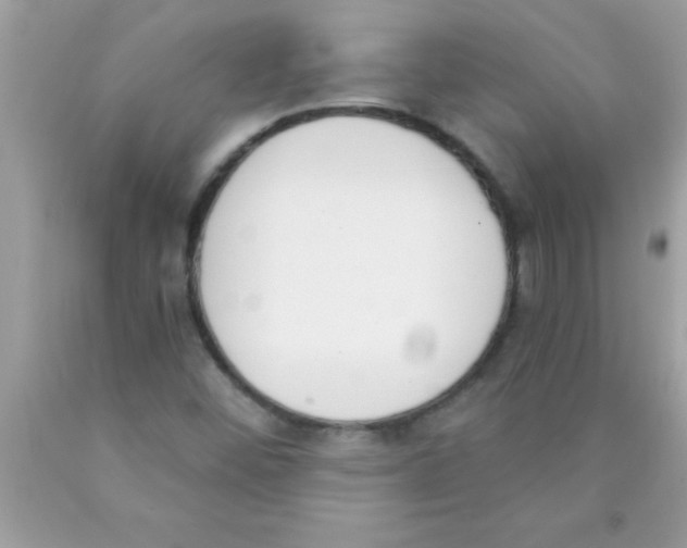 X0000089851452200707262058