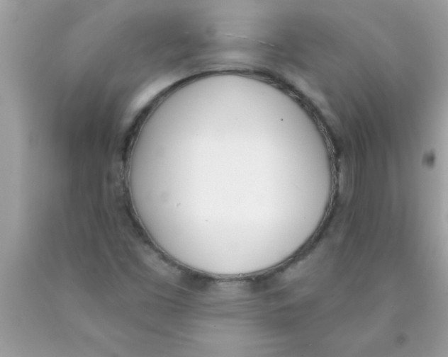 X0000089851453200707262058