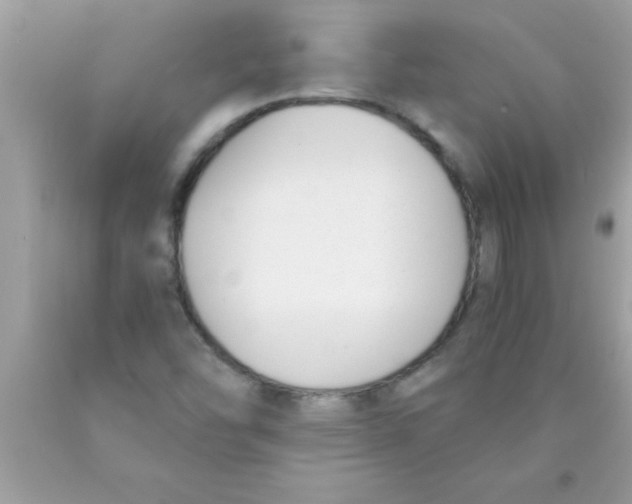 X0000089851454200707262058