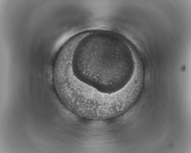 X0000089851455200707262058