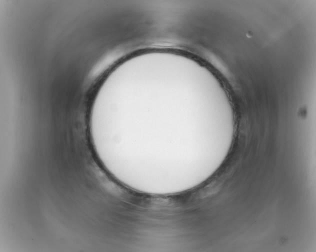 X0000089851456200707262058