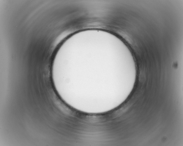 X0000089851458200707262058