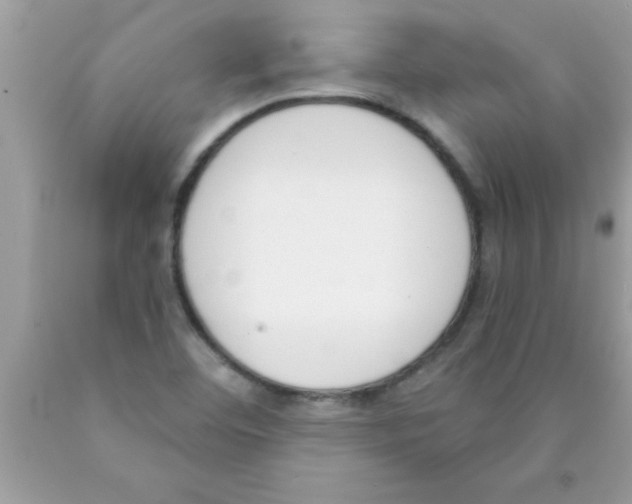 X0000089851460200707262058