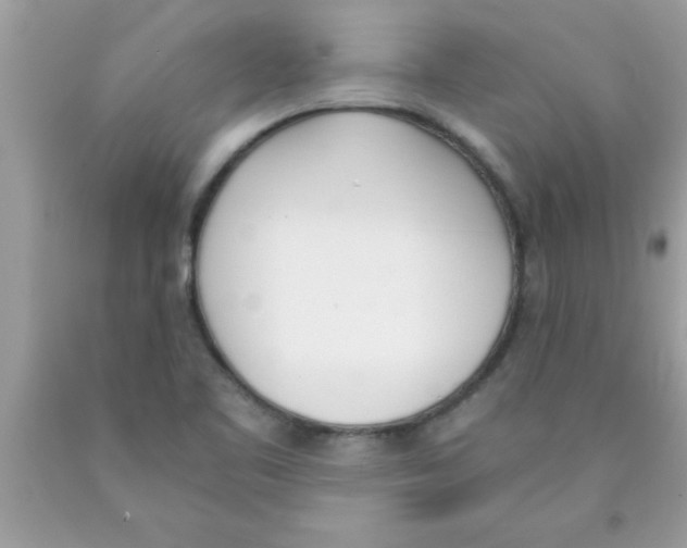 X0000089851461200707262058