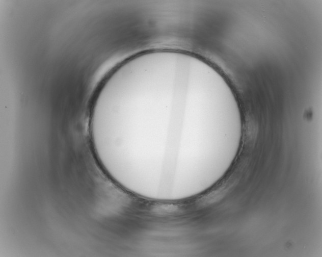 X0000089851462200707262057