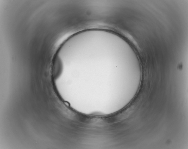 X0000089851463200707262057