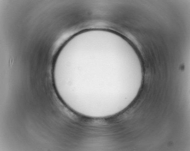 X0000089851464200707262057