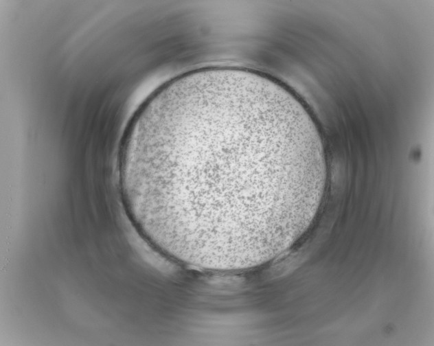 X0000089851466200707262057