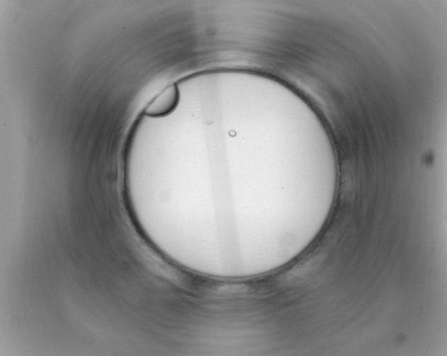 X0000089851467200707262057