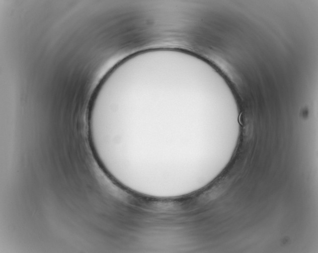 X0000089851468200707262057