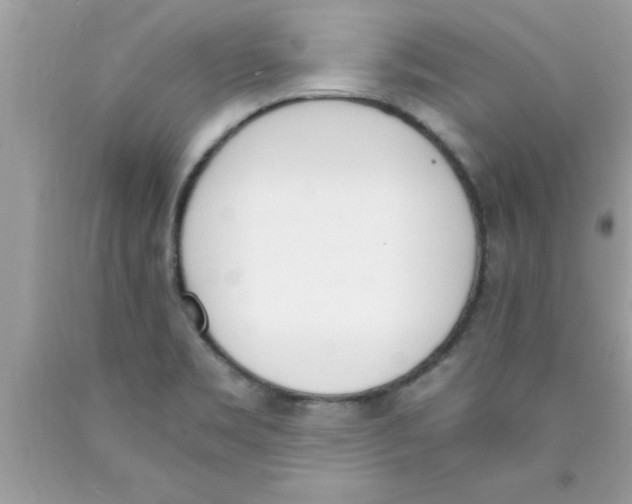 X0000089851469200707262057