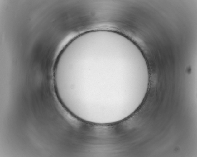 X0000089851470200707262057