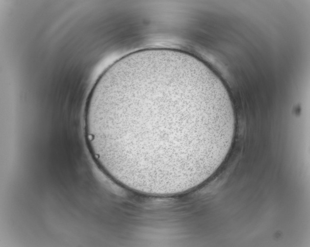 X0000089851471200707262057