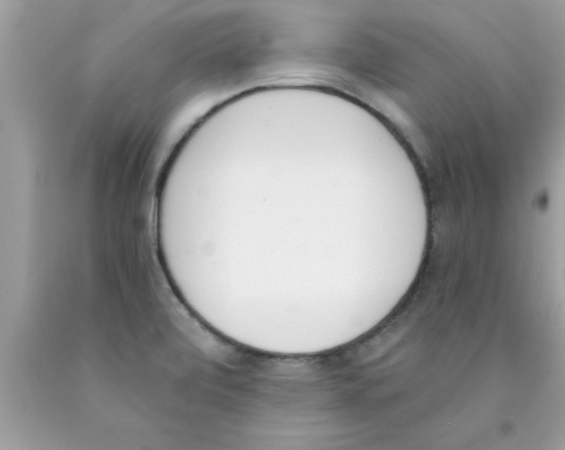 X0000089851472200707262057