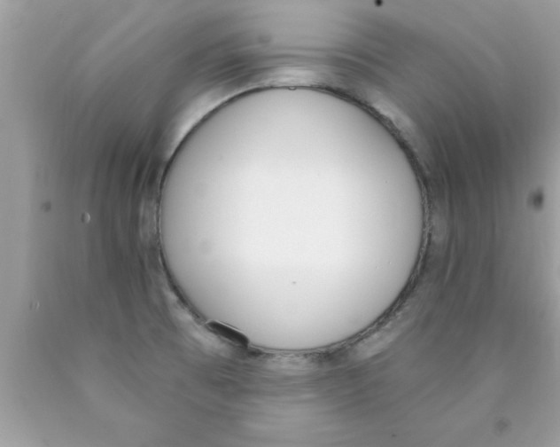 X0000089851473200707262057