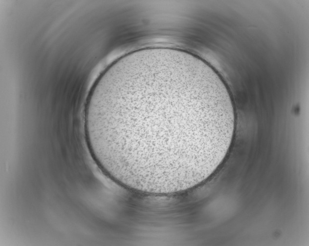 X0000089851474200707262057