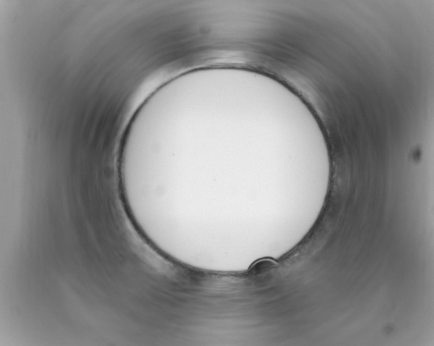 X0000089851475200707262057