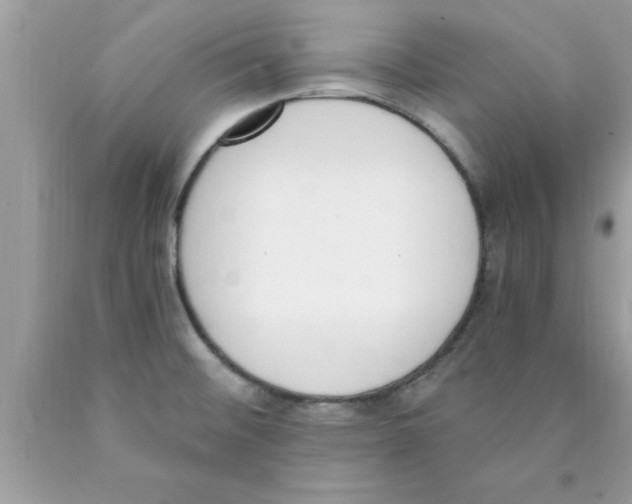 X0000089851476200707262057