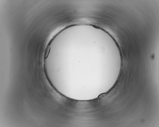 X0000089851477200707262057